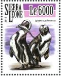 Colnect-3566-025-African-Penguin%C2%A0-%C2%A0Spheniscus-demersus.jpg