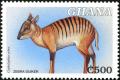 Colnect-4236-110-Zebra-Duiker-Cephalophus-zebra.jpg