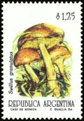 Colnect-5021-006-Suillus-granulatus.jpg