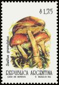 Colnect-5021-007-Suillus-granulatus.jpg