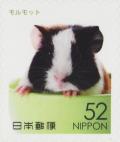 Colnect-5892-070-Domestic-Guinea-Pig-Cavia-Porcellus.jpg