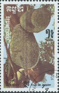 Colnect-2348-797-Breadfruit-Artocarpus-altilis.jpg