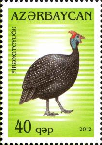 Colnect-1603-776-Helmeted-Guineafowl-Numida-meleagris.jpg