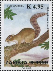 Colnect-3051-566-Gambian-Sun-Squirrel-Heliosciurus-gambianus.jpg