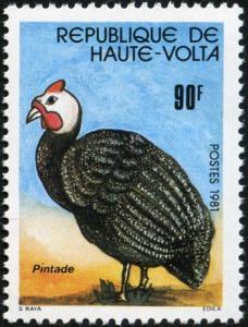 Colnect-2244-800-Helmeted-Guineafowl-Numida-meleagris.jpg