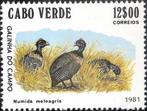 Colnect-1126-592-Helmeted-Guineafowl-Numida-meleagris.jpg