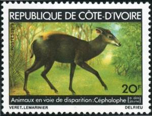 Colnect-1399-929-Yellow-backed-Duiker-Cephalophus-silvicultor-.jpg