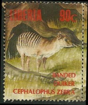 Colnect-1542-803-Zebra-Duiker-Cephalophus-zebra.jpg