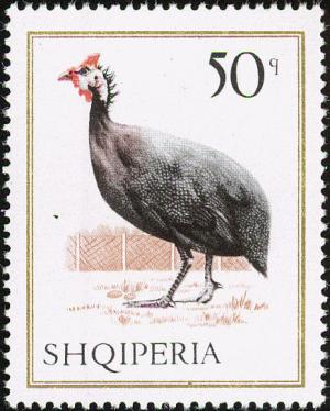 Colnect-1976-271-Helmeted-Guineafowl-Numida-meleagris.jpg