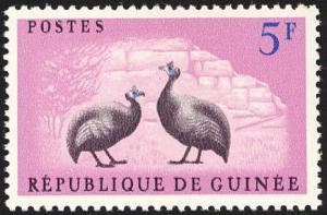 Colnect-2809-876-Helmeted-Guineafowl-Numida-meleagris.jpg