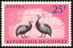 Colnect-2809-878-Helmeted-Guineafowl-Numida-meleagris.jpg