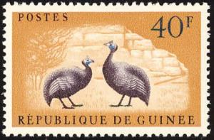 Colnect-2809-879-Helmeted-Guineafowl-Numida-meleagris.jpg