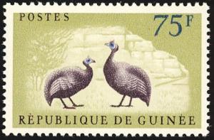 Colnect-2809-881-Helmeted-Guineafowl-Numida-meleagris.jpg