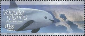 Colnect-3069-536-Vaquita-Phocoena-sinus.jpg