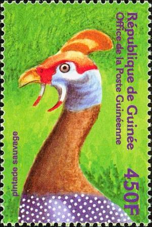 Colnect-3813-942-Helmeted-Guineafowl-Numida-meleagris.jpg