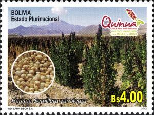 Colnect-4516-530-Quinoa-Plantation.jpg