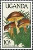 Colnect-1712-388-Suillus-granulatus.jpg