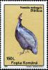 Colnect-4837-415-Helmeted-Guineafowl-Numida-meleagris.jpg