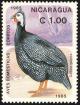 Colnect-1626-006-Helmeted-Guineafowl-Numida-meleagris.jpg