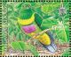 Colnect-3742-540-Yellow-bibbed-Fruit-Dove-Ptilinopus-solomonensis.jpg