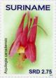 Colnect-4181-048-Aquilegia-canadensis.jpg