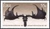 Colnect-1726-343-Skull-of-a-Giant-Elk.jpg