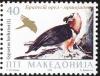 Colnect-2815-528-Bearded-Vulture-Gypaetus-barbatus.jpg