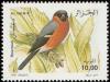 Colnect-5174-559-Eurasian-Bullfinch-Pyrrhula-pyrrhula.jpg