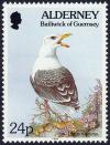 Colnect-5181-002-Great-Black-backed-Gull-Larus-maritimus-Sand-Crocus-Romu.jpg