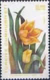 Colnect-776-042-Tulipa-sylvestris.jpg