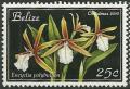 Colnect-1949-898-Dinema-polybulbon-synEncyclia-polybulbon.jpg