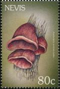 Colnect-3173-269-Auricularia-auricula-judae.jpg