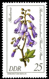 Colnect-1981-079-Paulownia-tomentosa.jpg