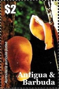 Colnect-3455-688-Auricularia-auricula-judae.jpg