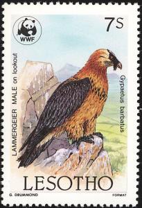 Colnect-1725-544-Bearded-Vulture-Gypaetus-barbatus.jpg