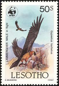 Colnect-1725-546-Bearded-Vulture-Gypaetus-barbatus.jpg