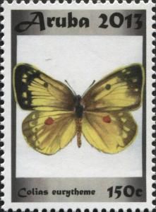 Colnect-6279-091-Orange-Sulphur-Colias-eurytheme.jpg