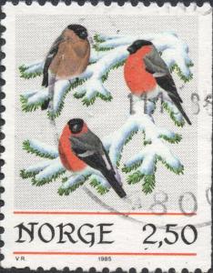 Colnect-5822-693-Eurasian-Bullfinch-Pyrrhula-pyrrhula.jpg