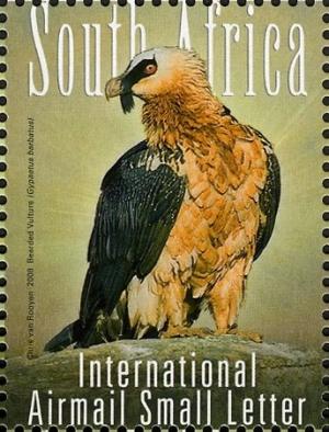 Colnect-1389-657-Bearded-Vulture-Gypaetus-barbatus.jpg