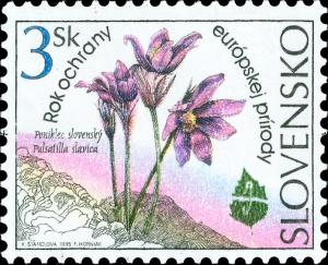 Colnect-2845-955-Pulsatilla-slavica.jpg