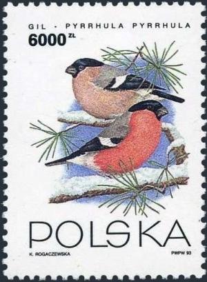 Colnect-4875-079-Eurasian-Bullfinch-Pyrrhula-pyrrhula.jpg