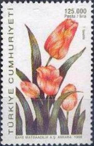 Colnect-776-045-Tulipa-saxalitis.jpg