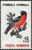 Colnect-4900-196-Eurasian-Bullfinch-Pyrrhula-pyrrhula.jpg