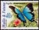 Colnect-900-772-Montrouzier-s-Ulysses-Papilio-montrouzieri.jpg