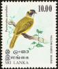 Colnect-862-141-Yellow-eared-Bulbul-Pycnonotus-penicillatus.jpg