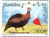 Colnect-2826-522-Helmeted-Guineafowl-Numida-meleagris---Wearing-Heart-Neckl.jpg