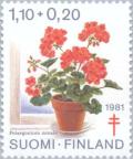 Colnect-159-788-Geranium-Pelargonium-zonale.jpg