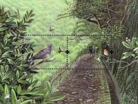 Colnect-1363-898-Trocaz-Pigeon-Columba-trocaz-Walker-beside-Levada.jpg