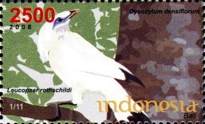 Colnect-1587-039-Dysoxylum-densiflorum-Bali-Myna-Leucopsar-rothschildi.jpg