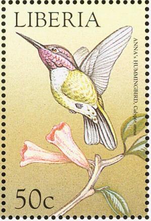 Colnect-1641-874-Anna-s-Hummingbird-Calypte-anna.jpg